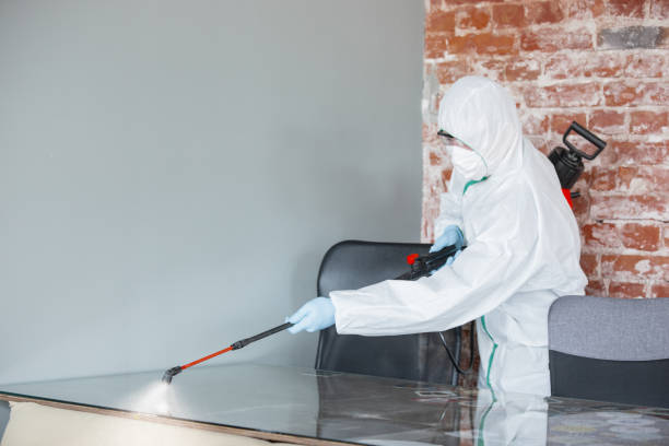  Woodland Park, NE Mold Removal Pros